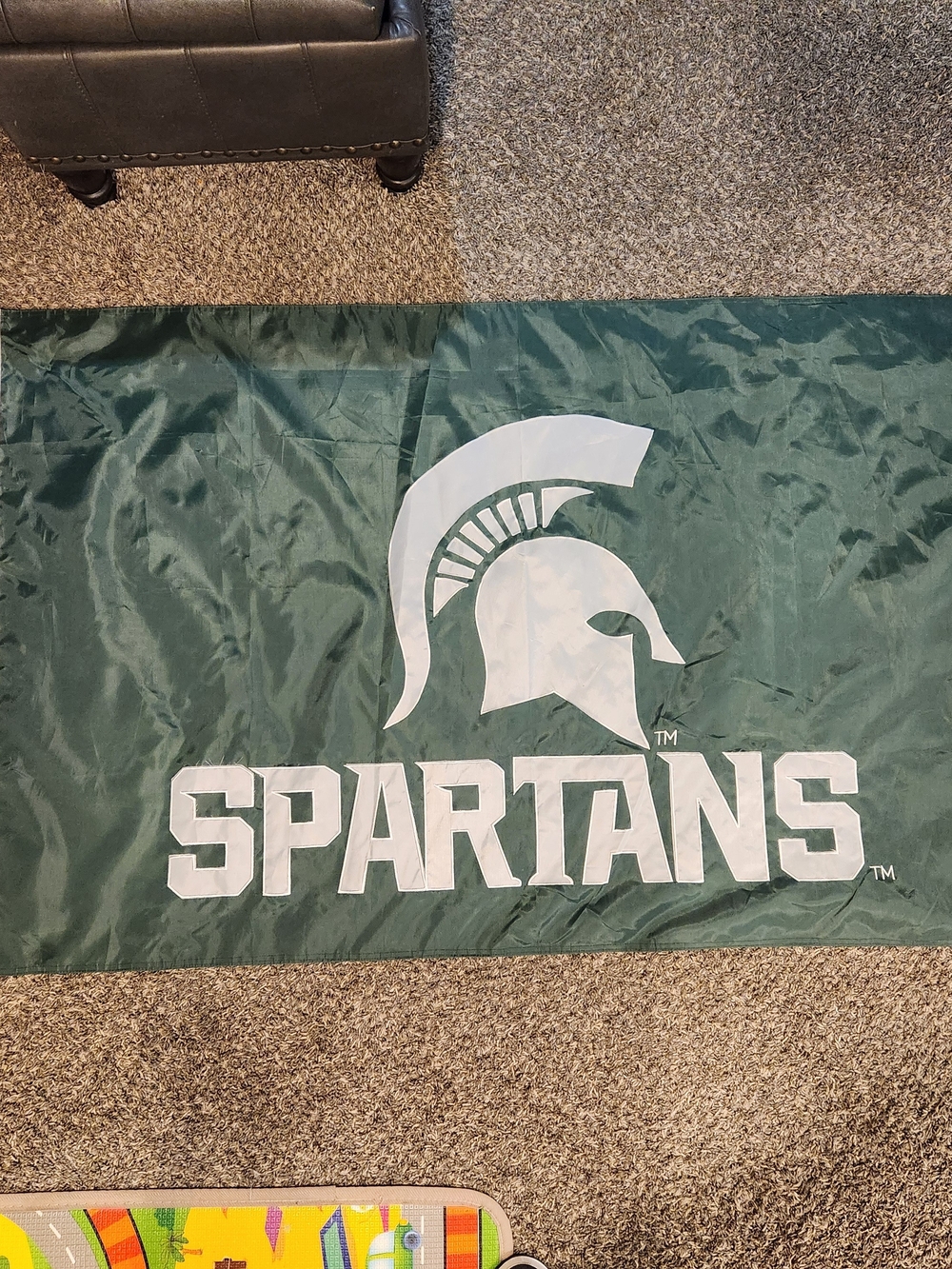 3 × 5 Ft Michigan Spartans Flag Banner - Green and White Heavy Duty Flag